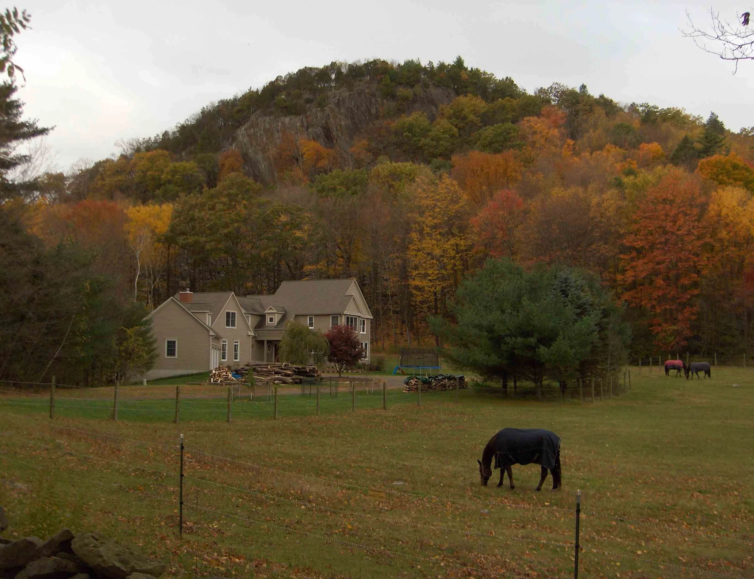 A horse grazing below Western Barndoor Hill in fall color, Granby